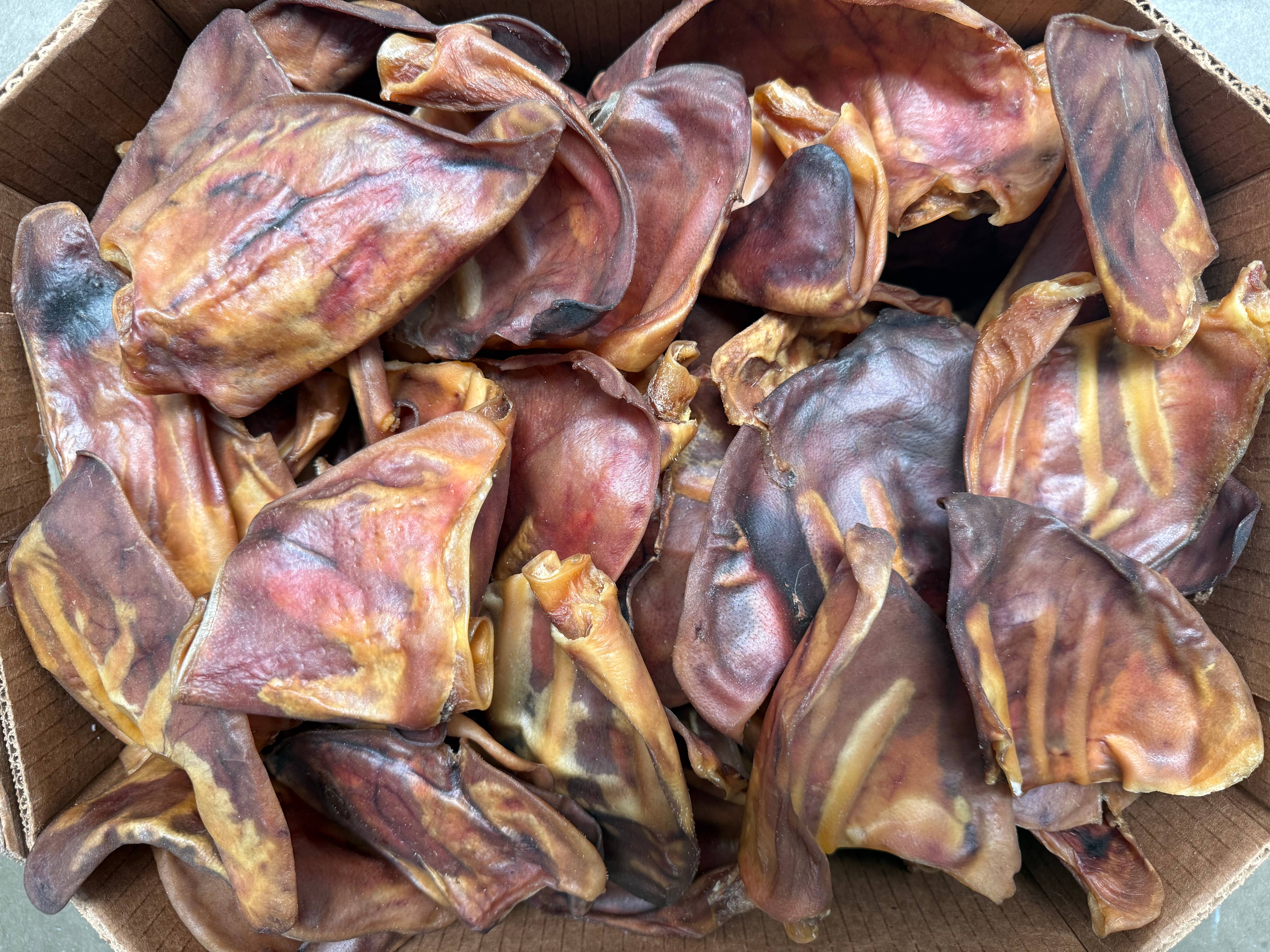 Ancestral Raw Nutrition – Großhandel Leckerlis – Hund – Getrocknete Schweineohren im 25er Pack0