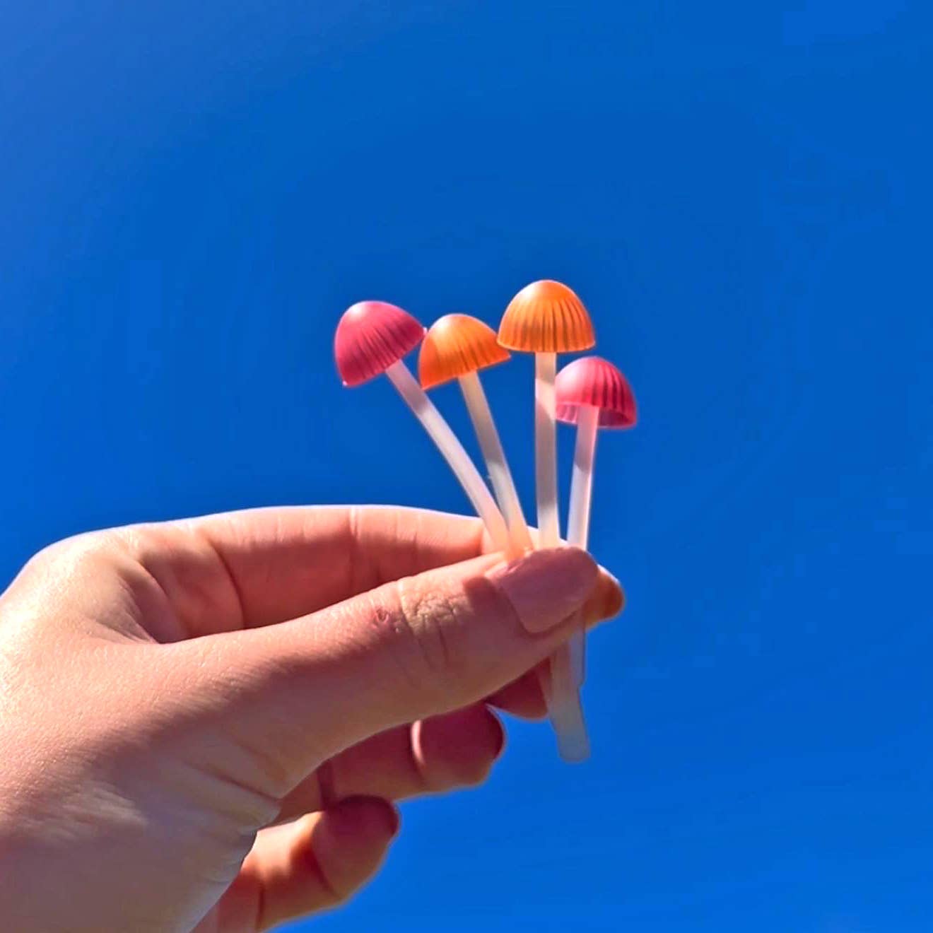 Fred & Friends - Wholesale Bookmark - Magic Sprout - Mushroom Bookmarks - Set of 46