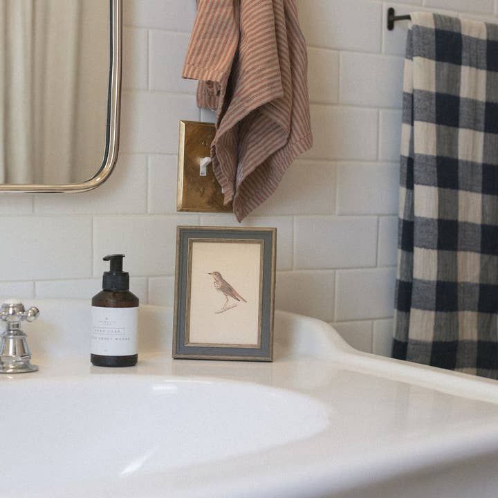 Petal Lane Home - Wholesale Wall Art Set - Bird Framed Antique Art2