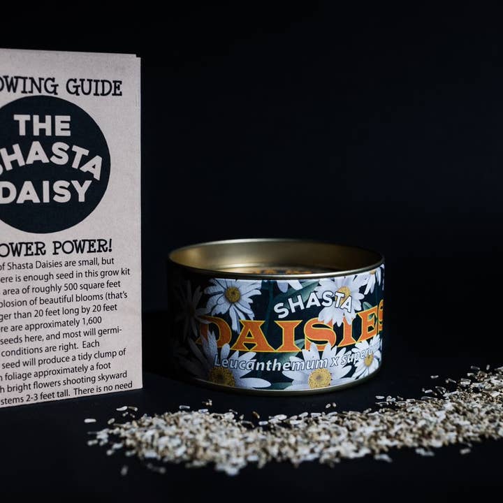 The Jonsteen Company - Wholesale Plant Seeds - Shasta Daisy | Flower Seed Grow Kit