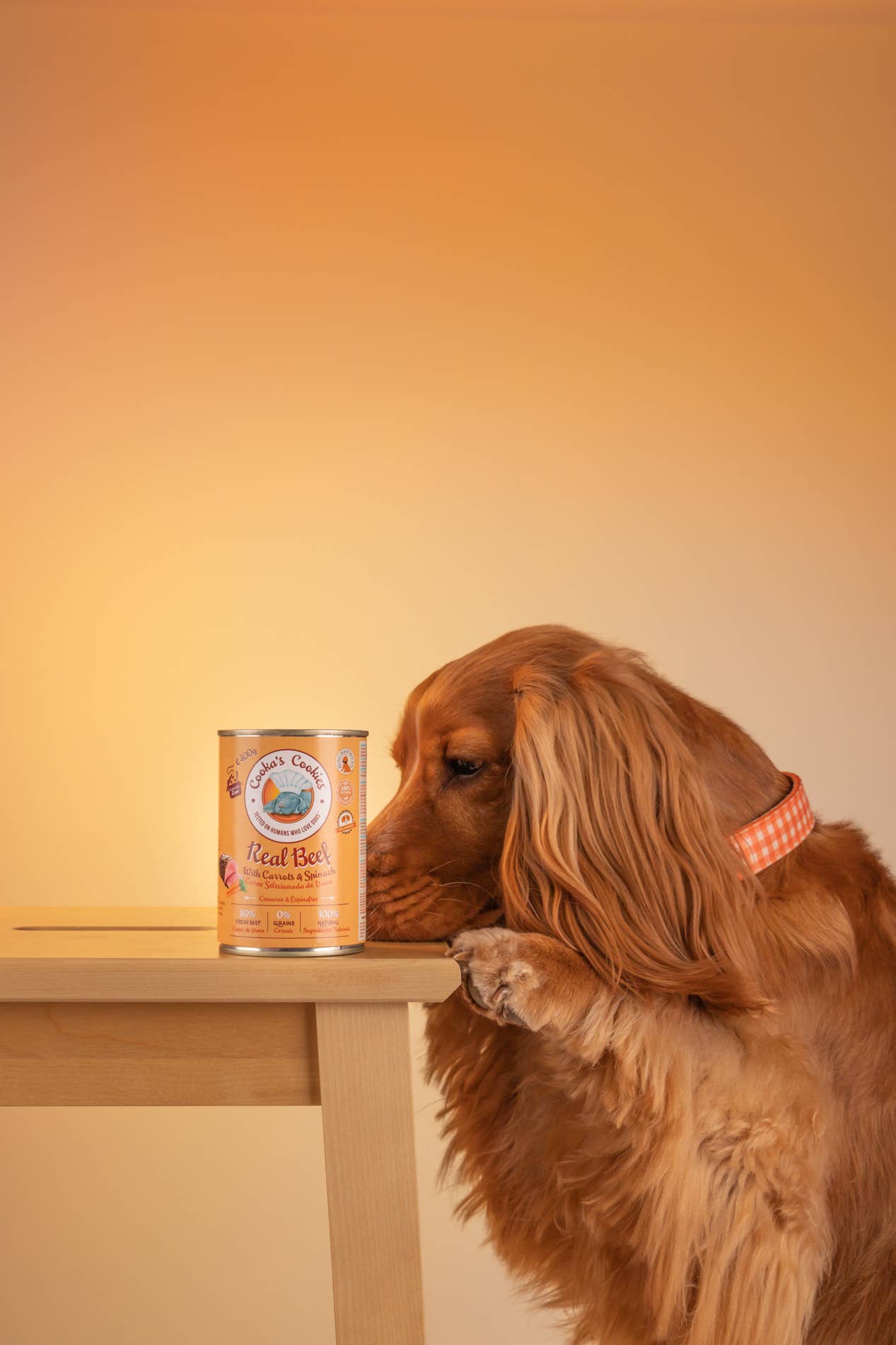 Cooka's Cookies - Vente Nourriture – chien - Real Beef - Pâté naturel pour chien humide4