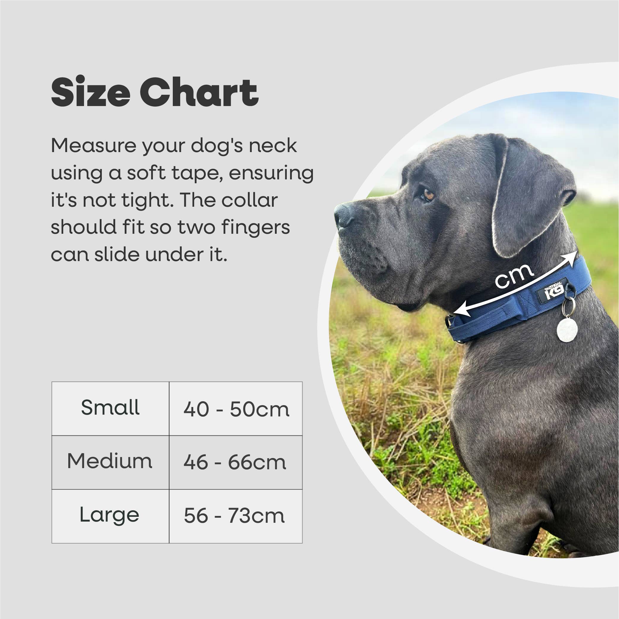 HugglePets – wholesale Pet collar – Dog – HugglePets Tactical K9 Endurance Dog Collar29