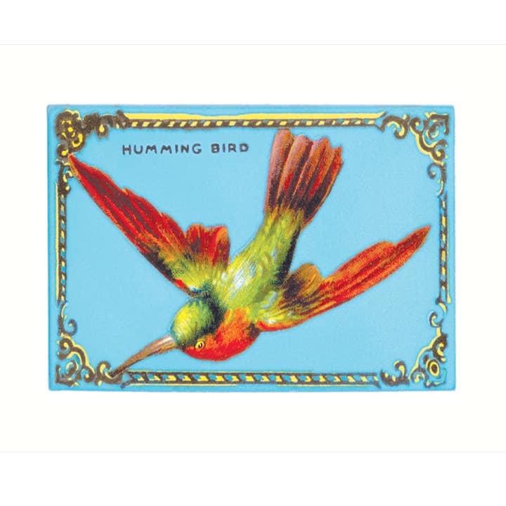 Kolibri | Leere Grußkarte für den Großhandel von Lucca Paperworks