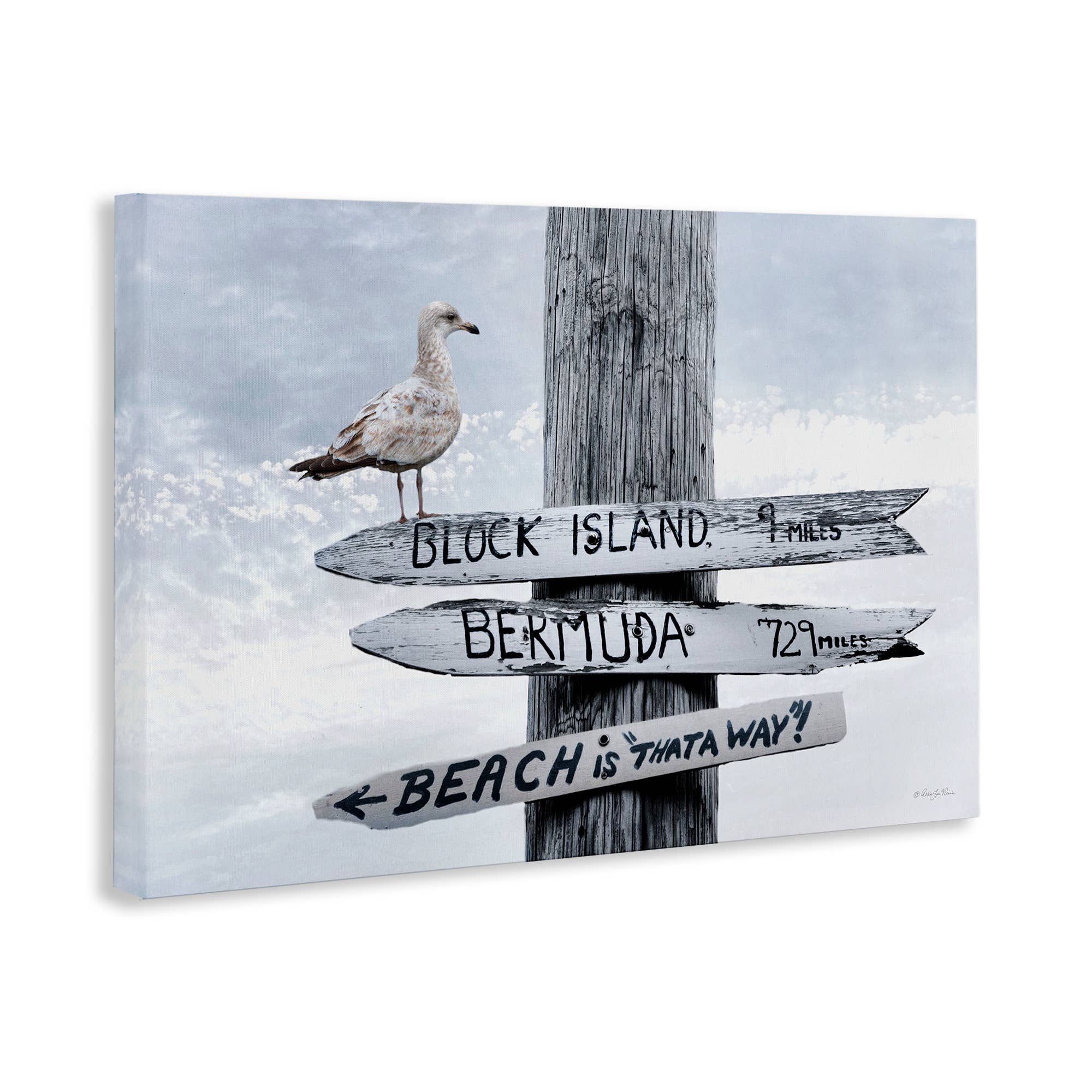 Stupell Industries - Wholesale Wall Sign - Vacation Beach Signs with Seagull - Unframed Wall Art10