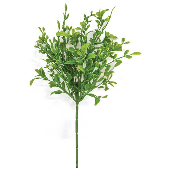 Evergreen English Boxwood Pick - 13" for wholesale by CWI Gifts