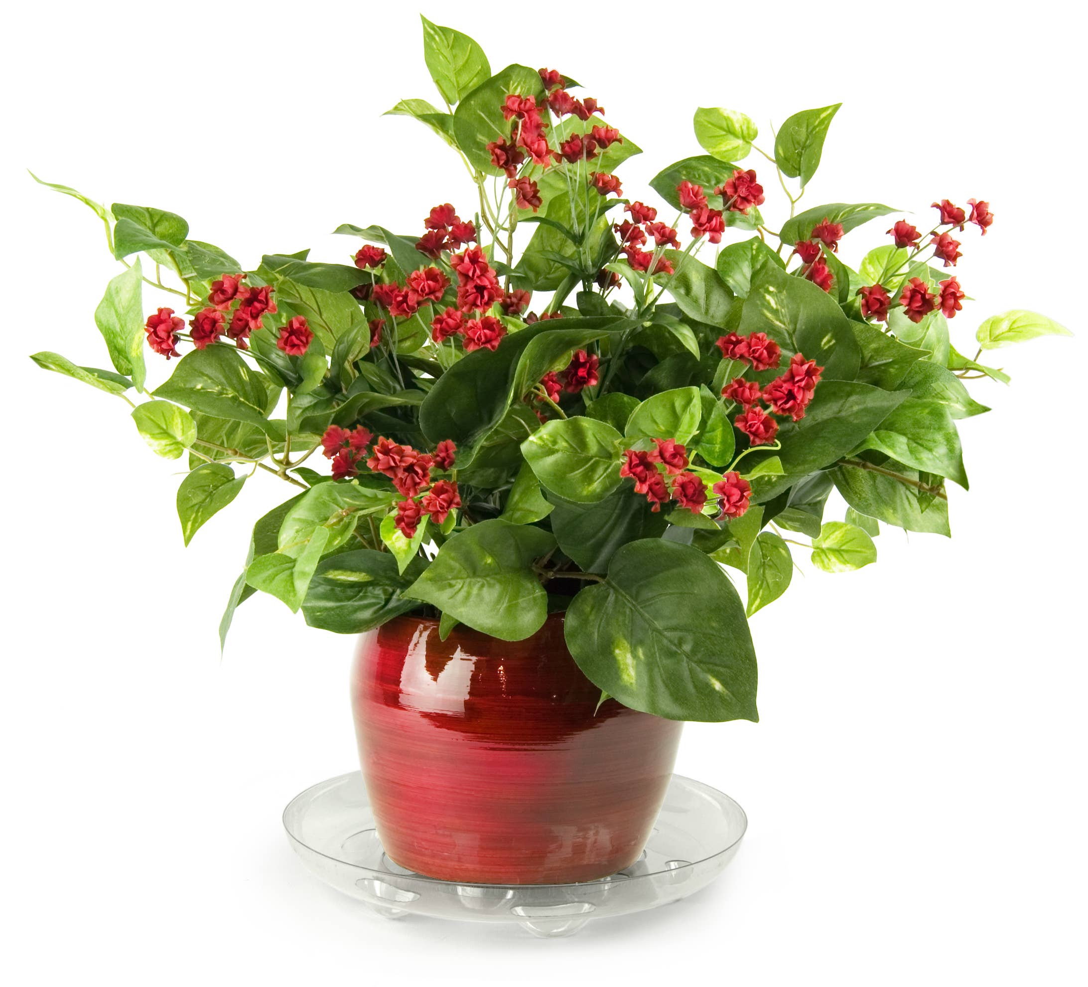 Plastec Products - Vendita all'ingrosso Vasi per piante - Super piattino 30,5 cm2