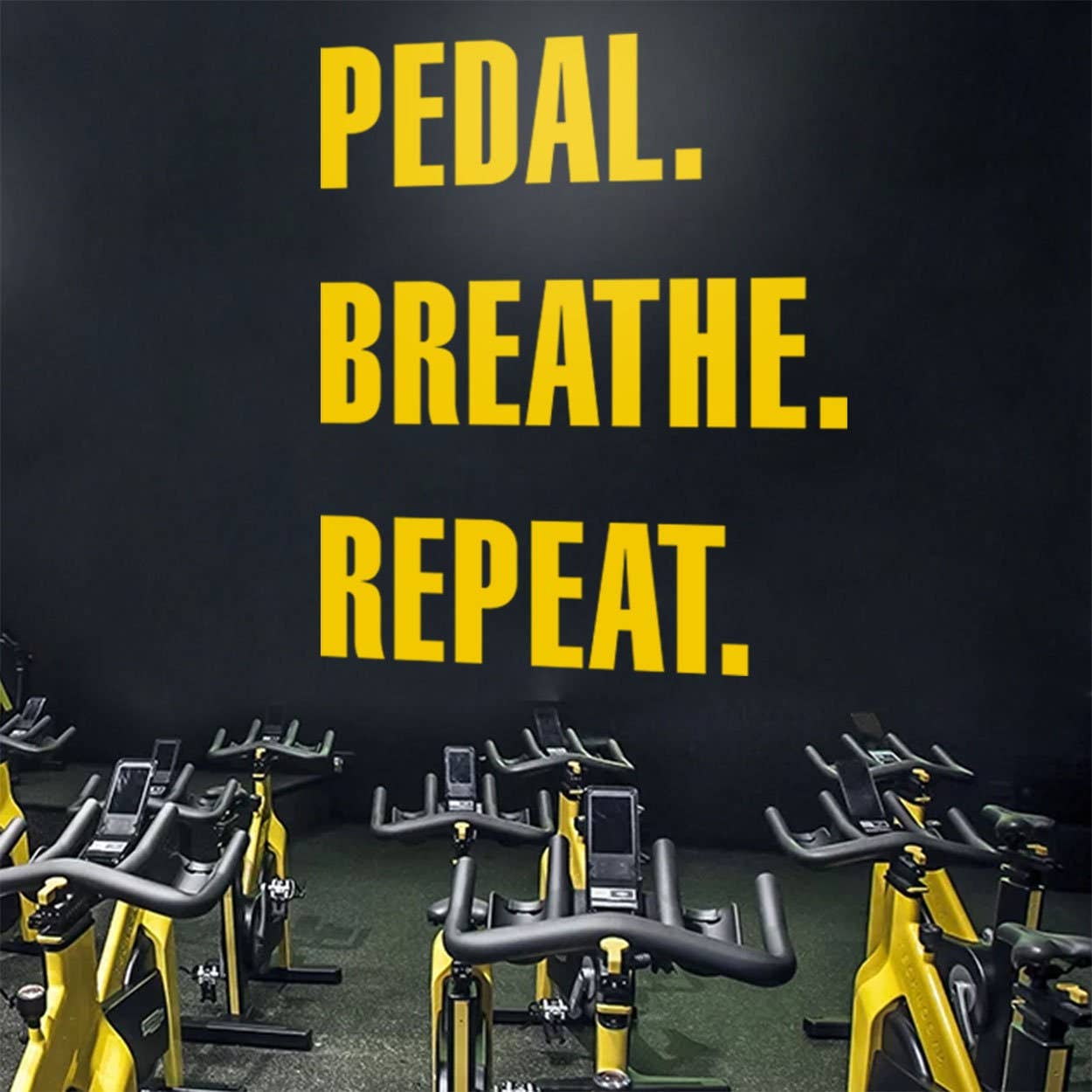 KUARKI - Wholesale Wall Decal/Stickers - Gym Wall Sticker, Cycling, Pedal, Cycling Decals0