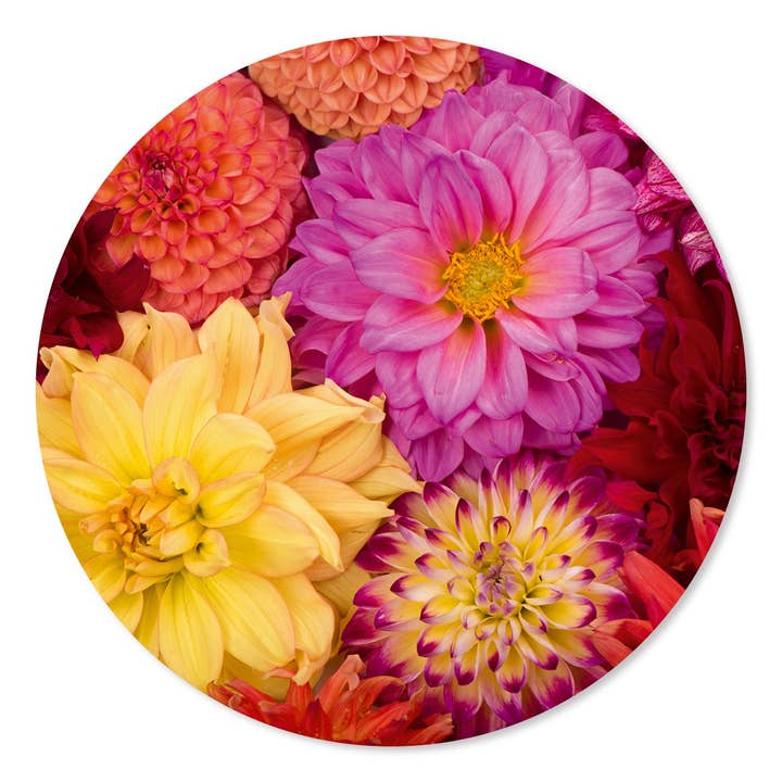 Muurcirkel Dahlia'S voor wholesale door GM decoratie