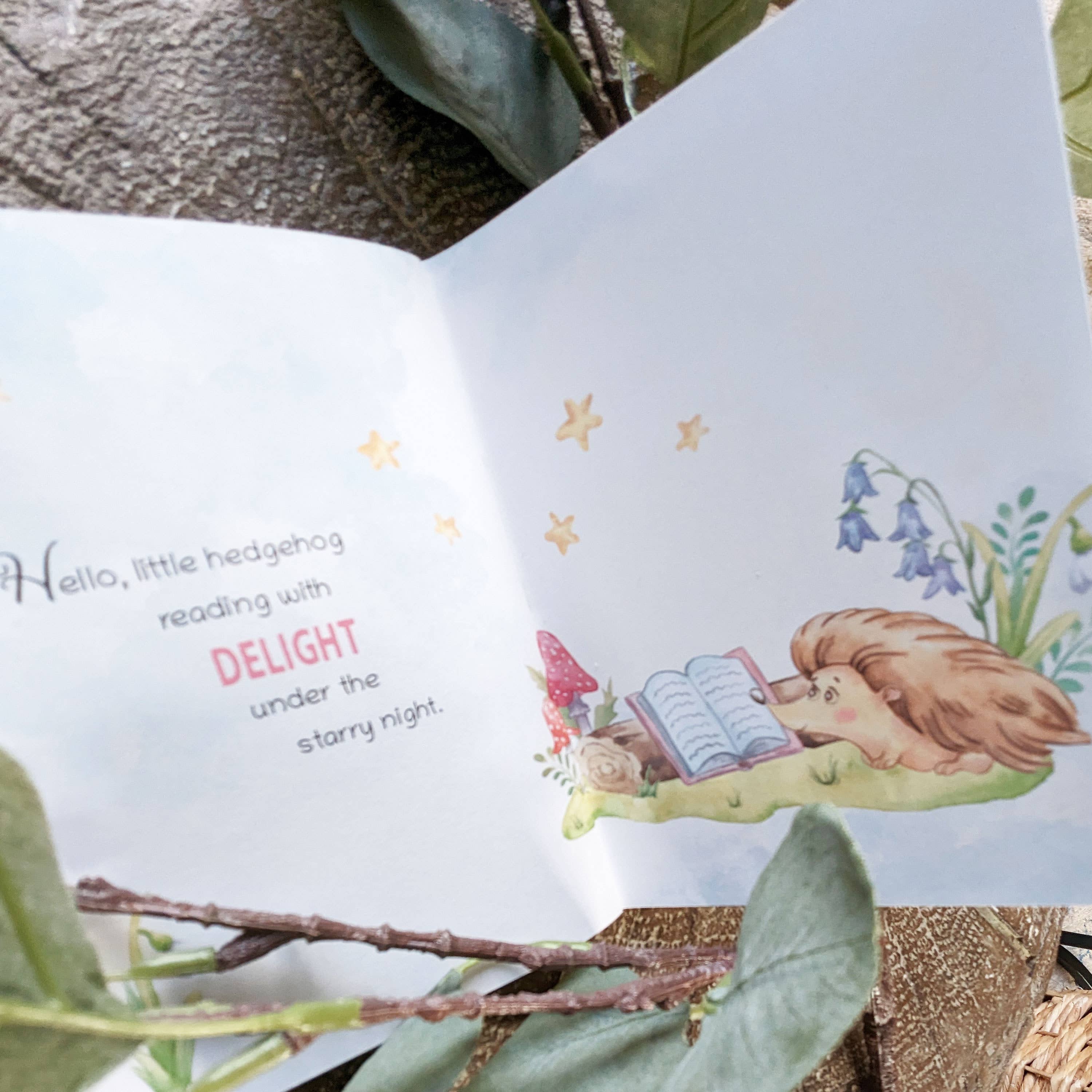 Gifting Studio Ltd - Wholesale Baby & Toddler Book (0-2) - Let The Woodland Adventure Begin Book | New Baby Book | Gift1