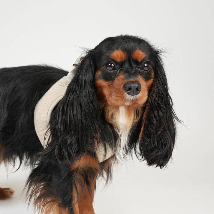 Staey - Wholesale Pet Harness - Dog - Teddy Step-In Dog Harness | Nature5