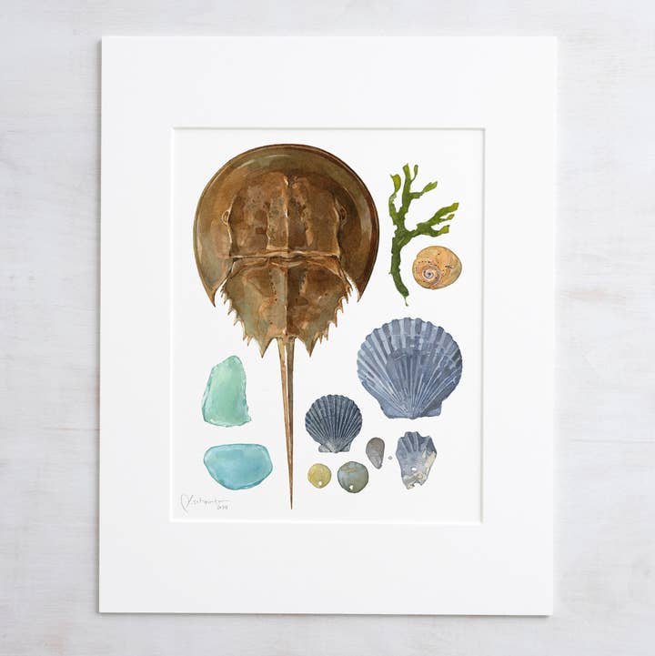 Studio Tuesday – wholesale Konsttryck – Shells Beachcombing Seashore Print F0