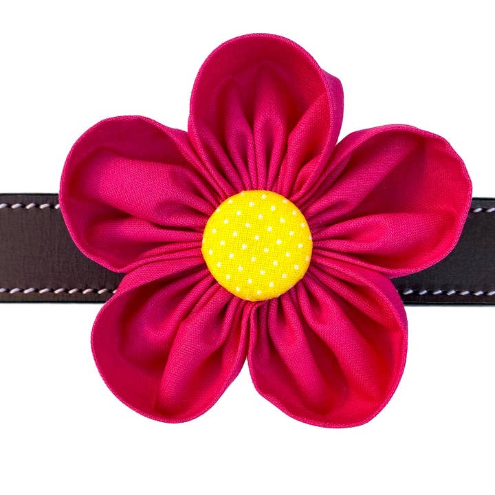 Hot Pink Collar Flower Pet Accessory for wholesale by Darcy's Canine Designs