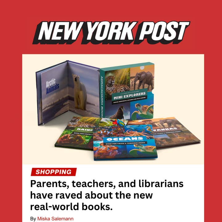 Abracadabra Books - Wholesale Early Reader Book (6-8) - Mini Explorers: Hardcover Box Set1