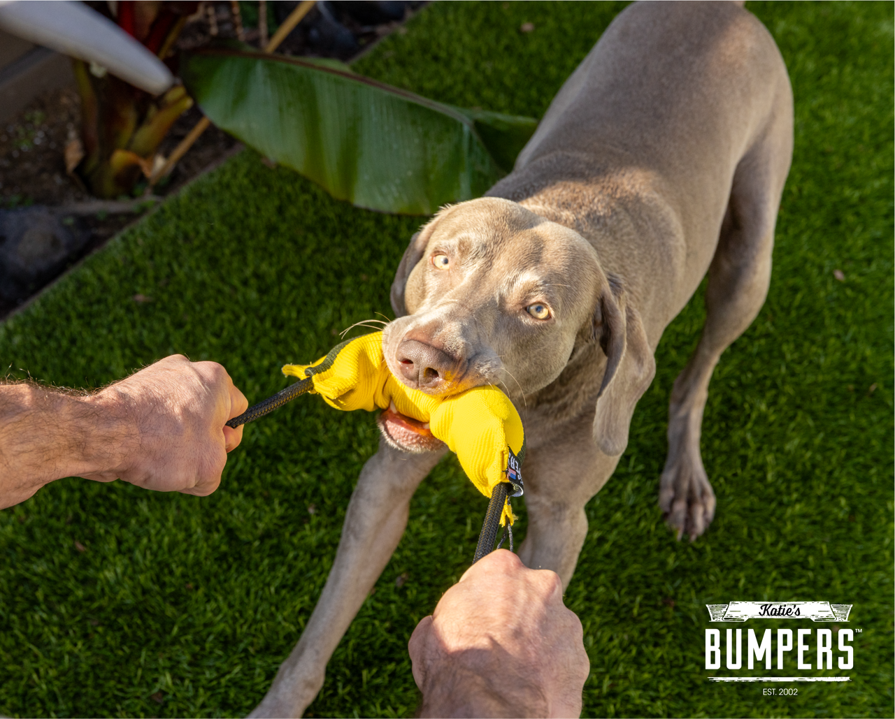 Katie's Bumpers - Wholesale Pet Rope Toy - Dog - NEW!! KB Double Tug Rope2