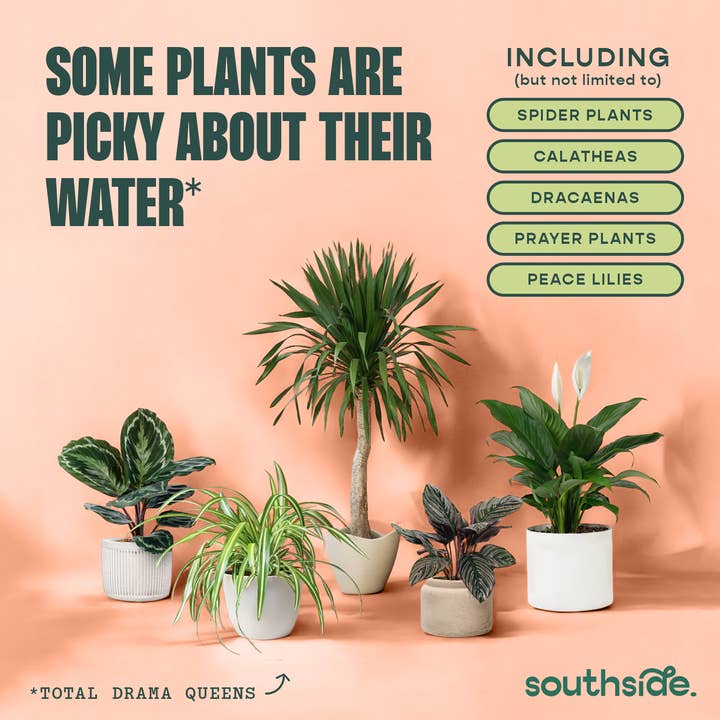 Southside. - Wholesale Fertilizer - Houseplant Tap Water Conditioner