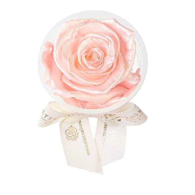 Eternal Roses® - Wholesale Party Favor - Eternal Rose Party Favors30