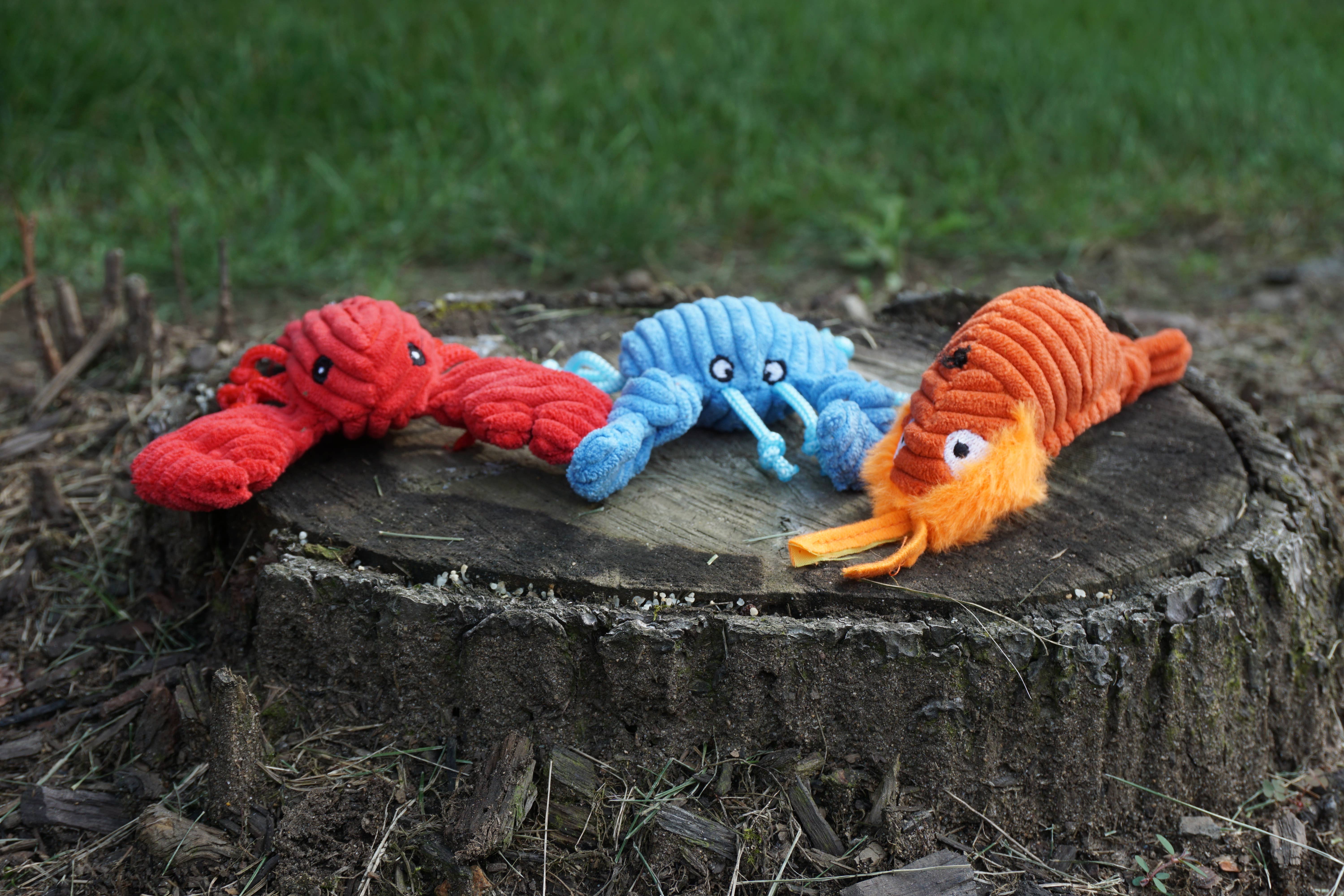 HuggleGroup - Wholesale Pet Plush Toy - Dog - Assorted Raw Bar Wee Huggles® Plush Dog Toys (3pk)7