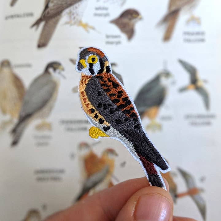 Bird Collective - Wholesale Patch - American Kestrel Patch3