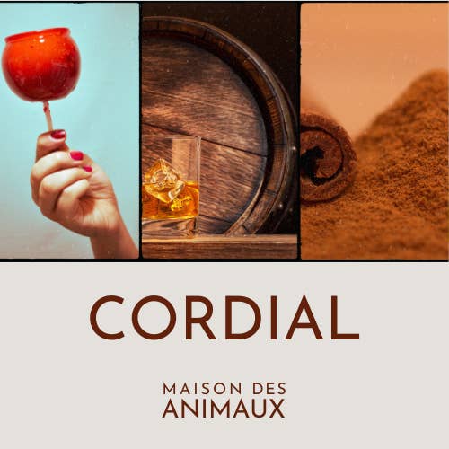 CORDIAL for wholesale by Maison Des Animaux