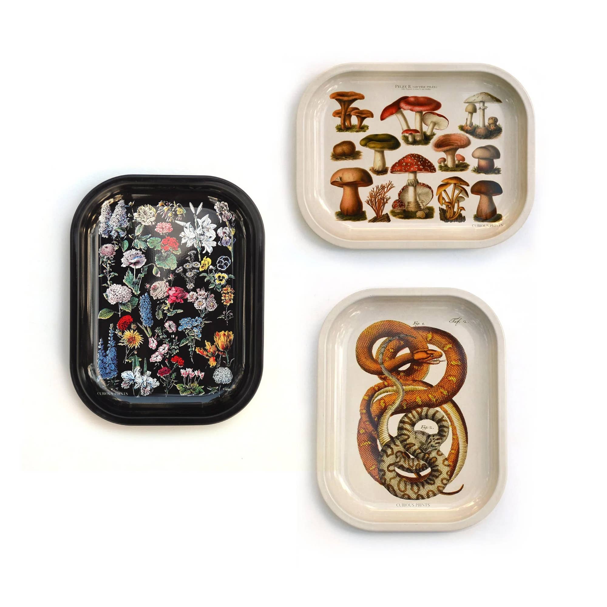 Curious Prints - Wholesale Decorative Tray - Small Metal Vintage Moon Phases Catchall Tray clearance3