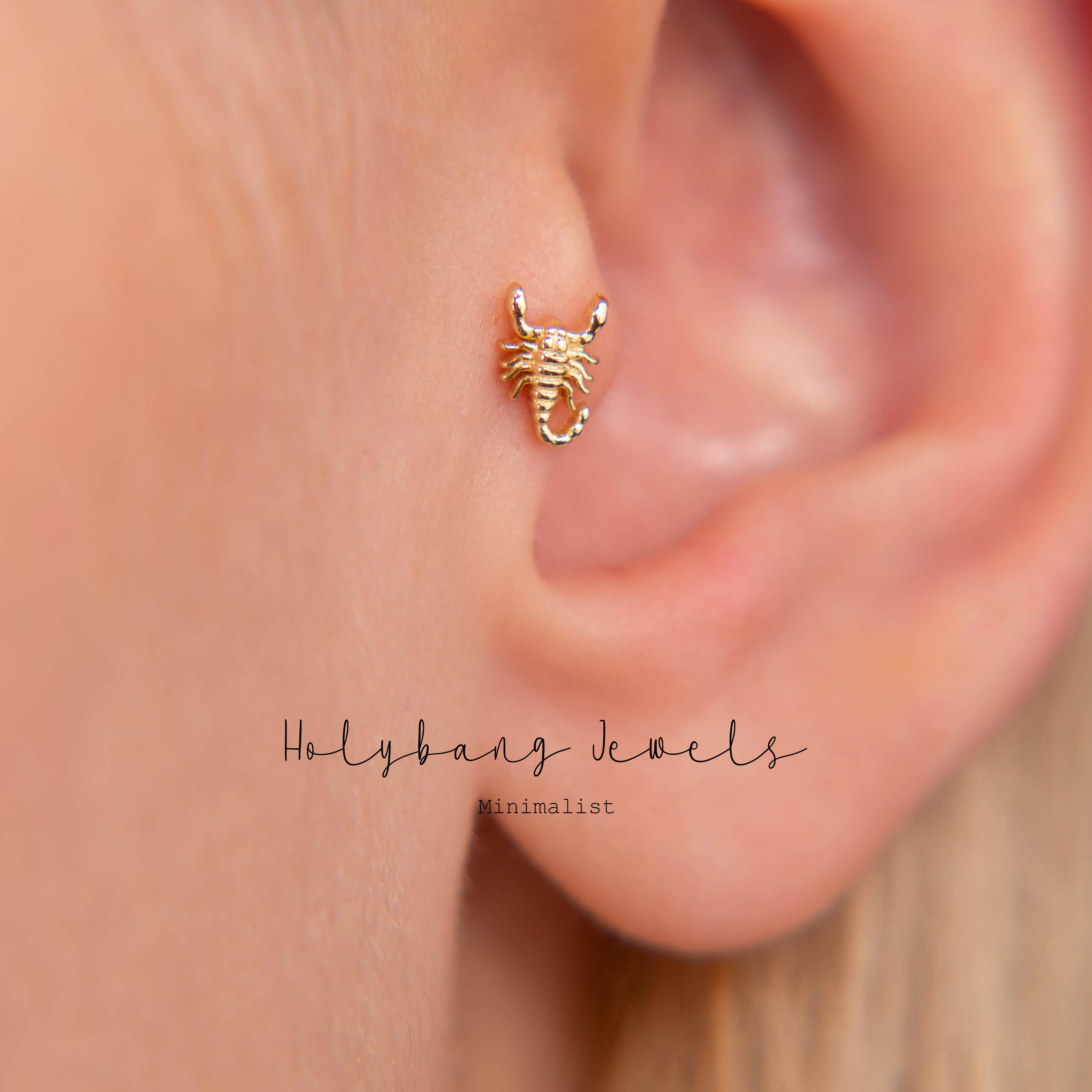 HolyBang Jewels - Wholesale Stud/Post Earrings - SCORPION INTERNALLY THREADED LABRET 0