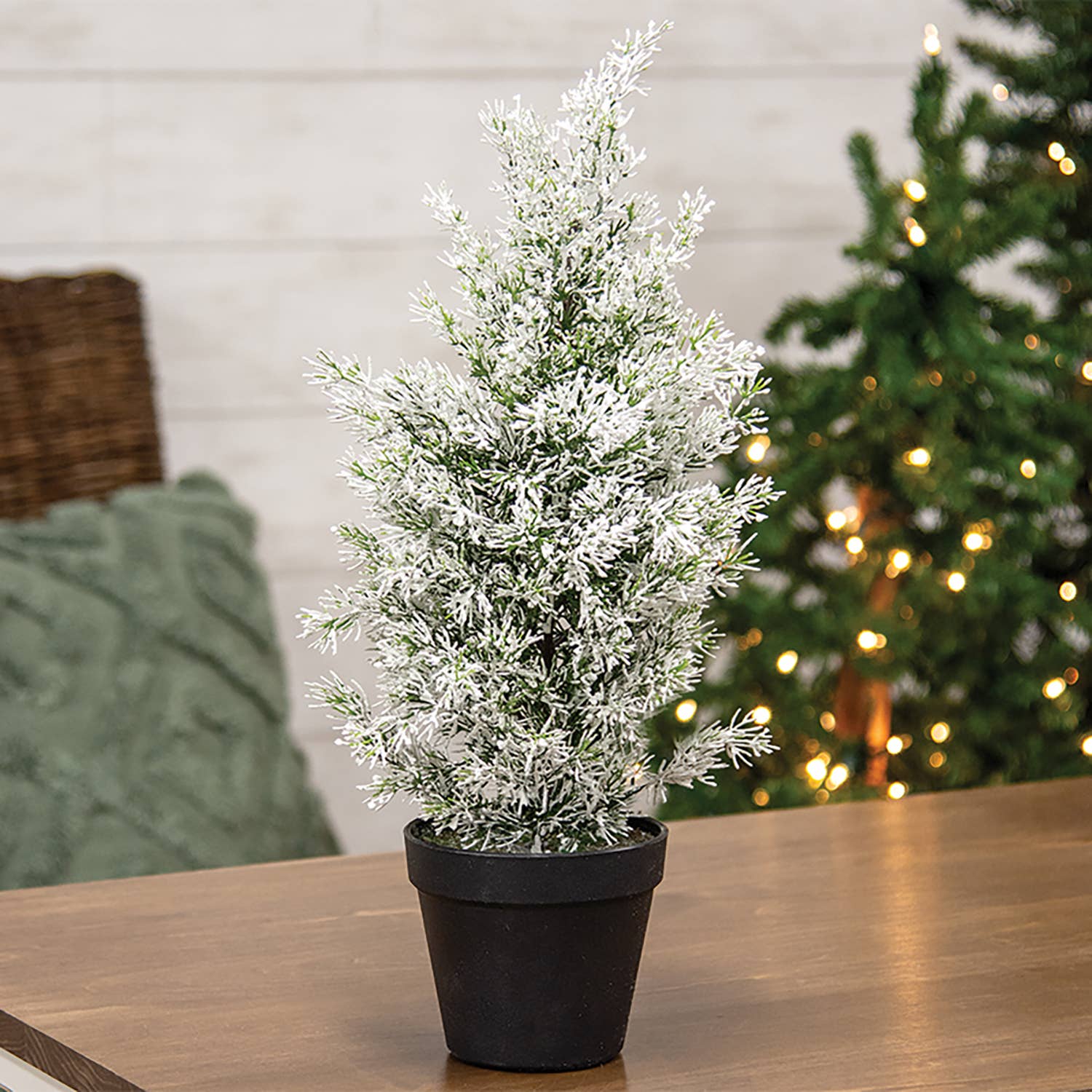 Col House Designs - Wholesale Artificial plant - Snowy Juniper Tree in Pot - 19"1