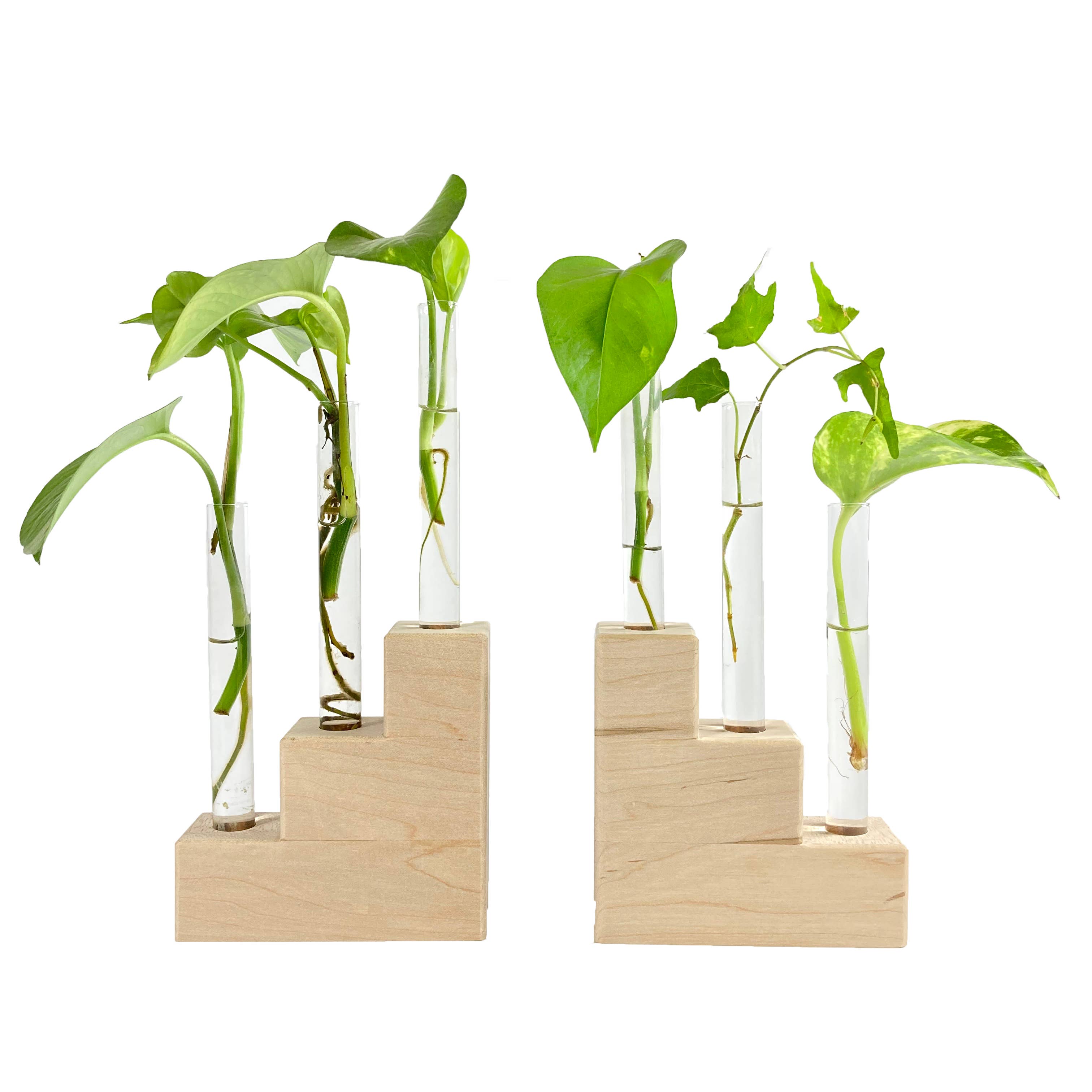 Hold on to Your Plants - Wholesale Plant Pot Stand - Riser Propagation Station2
