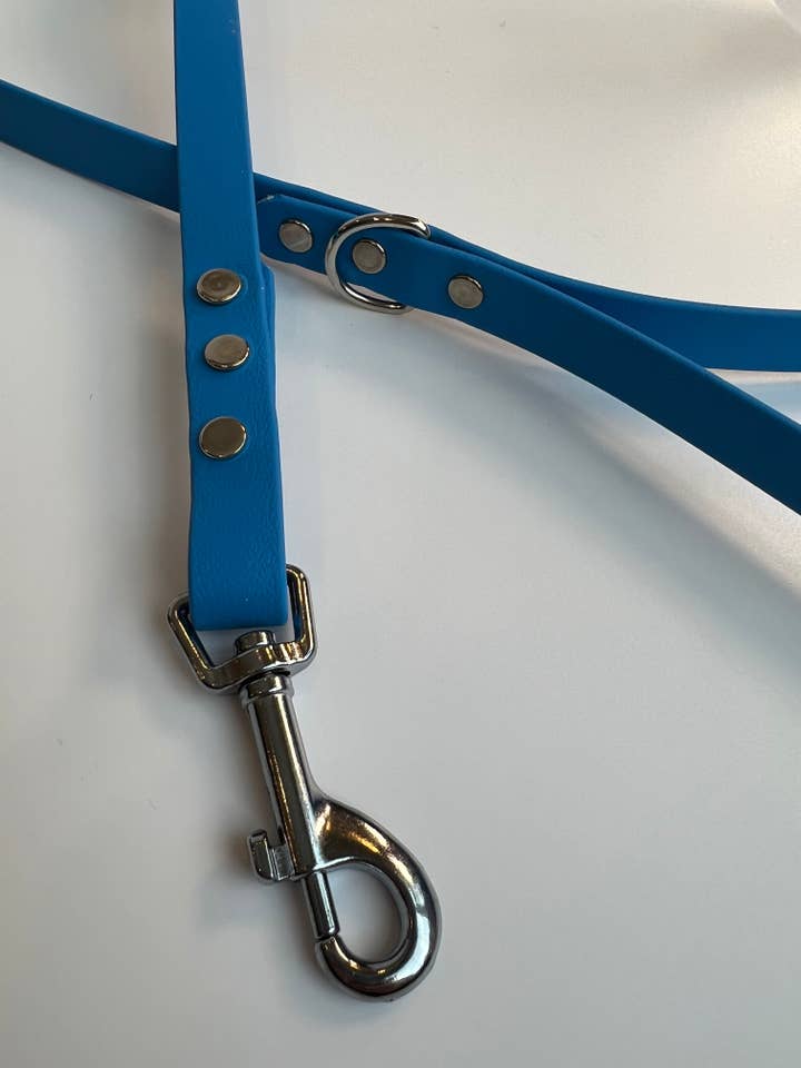 Classic Biothane Leash Sky Blue for wholesale by Let’s Go Leash Co.