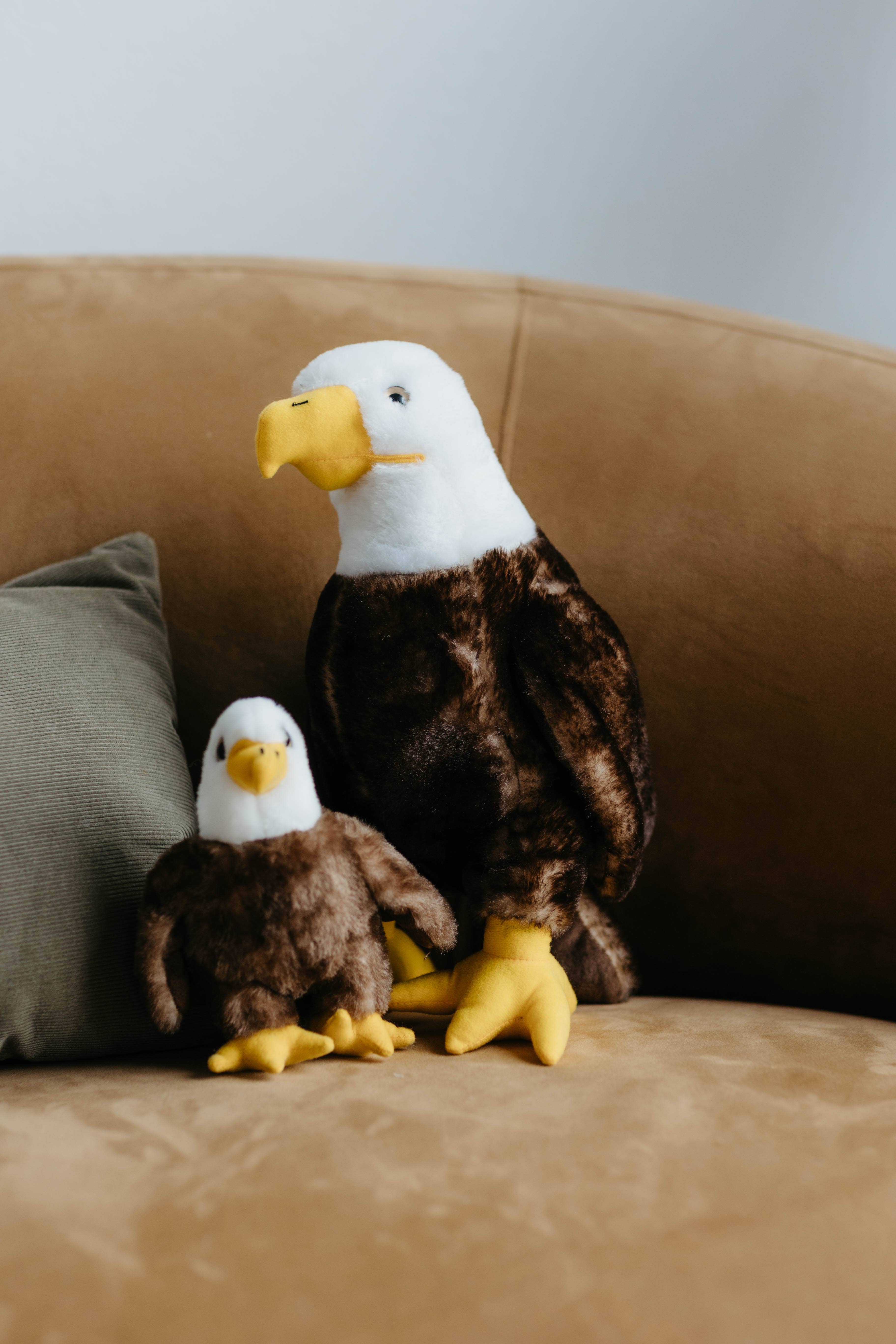 The Petting Zoo - Vente Peluche – enfant et bébé - Oiseau Pygargue à tête blanche Babiez Wild Onez de 6" (14 cm)1