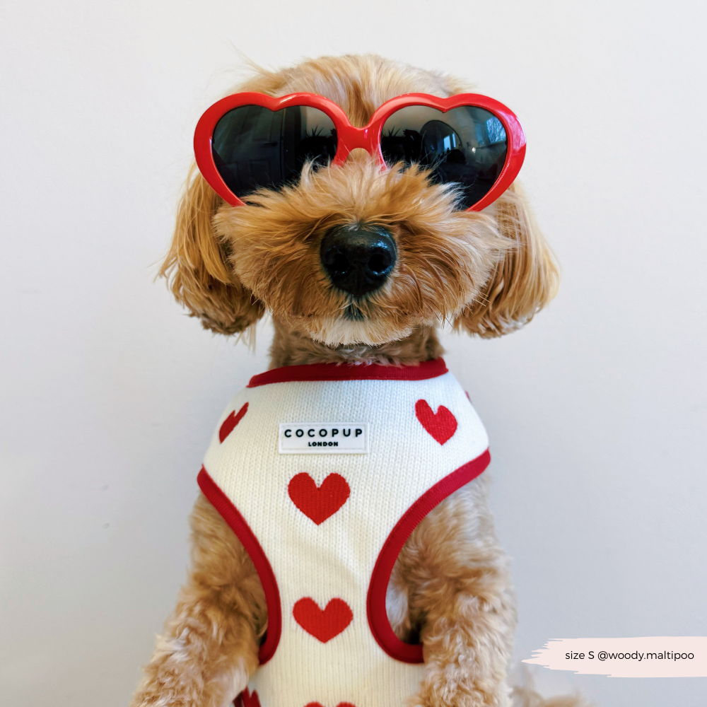 Cocopup London - Wholesale Pet Harness - Dog - Hugs & Knitted Adjustable Neck Harness19