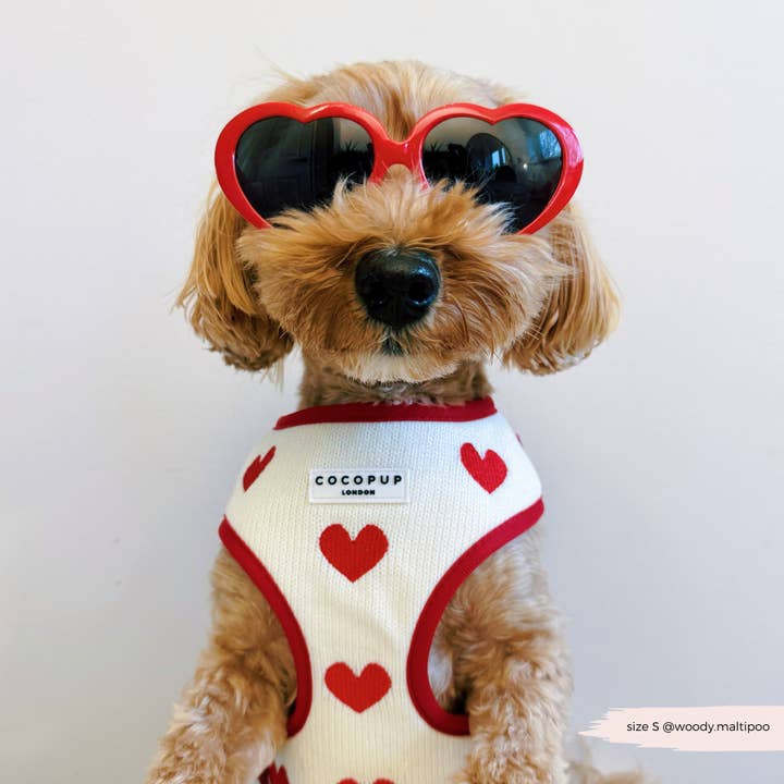 Cocopup London - Wholesale Pet harness – Dog - Hugs & Knitted Adjustable Neck Harness19