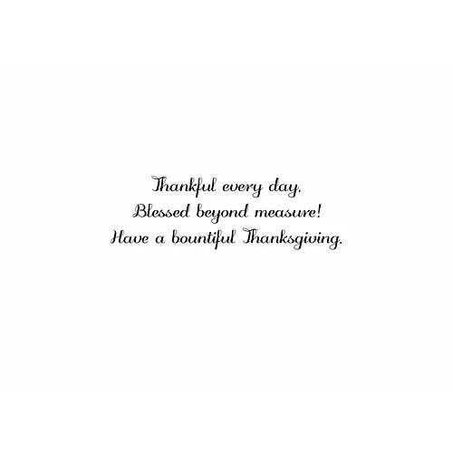 FRS 595 / 7900 Thanksgiving Card FRS 595 / 7900 Thanksgiving Card