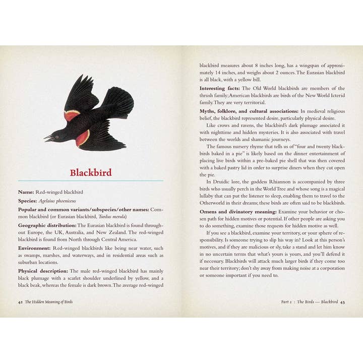 Microcosm Publishing & Distribution – Engroshandel Bog - Voksen – Skjult betydning af fugle: En åndelig felt guide