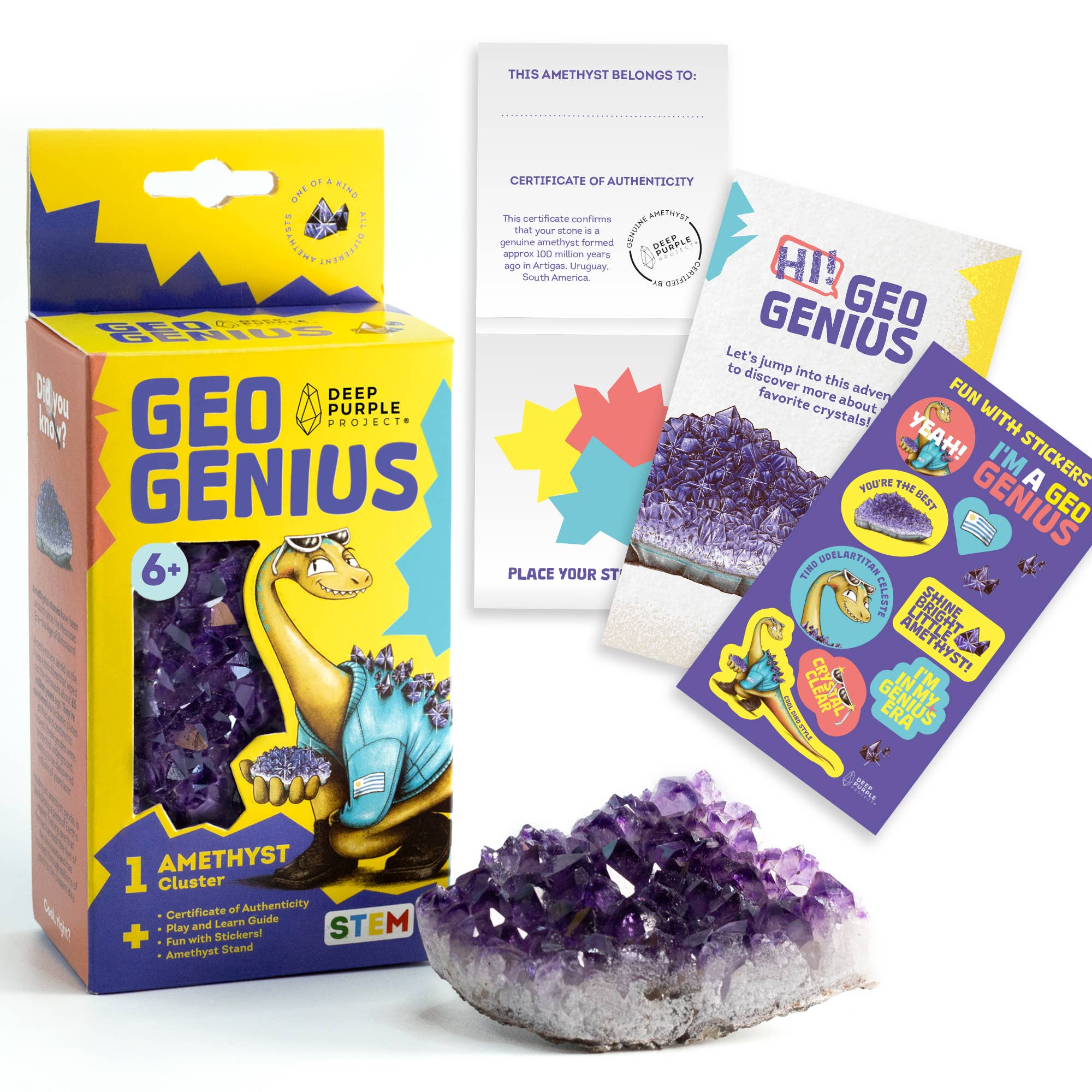Deep Purple Project - Wholesale Brain Game - Kids - Amethyst Discovery Kit, STEM Kit for Kids