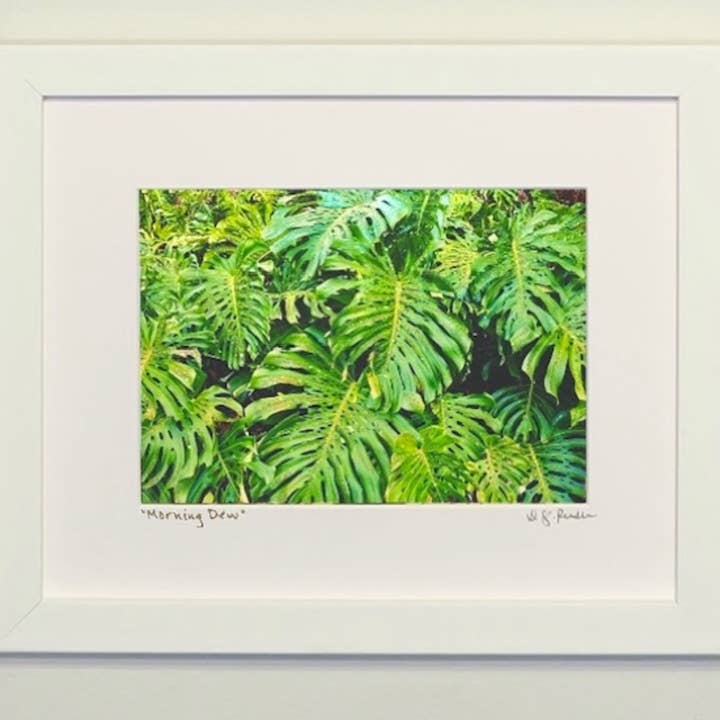 Morning Dew for wholesale by illuminated ART Hawaii