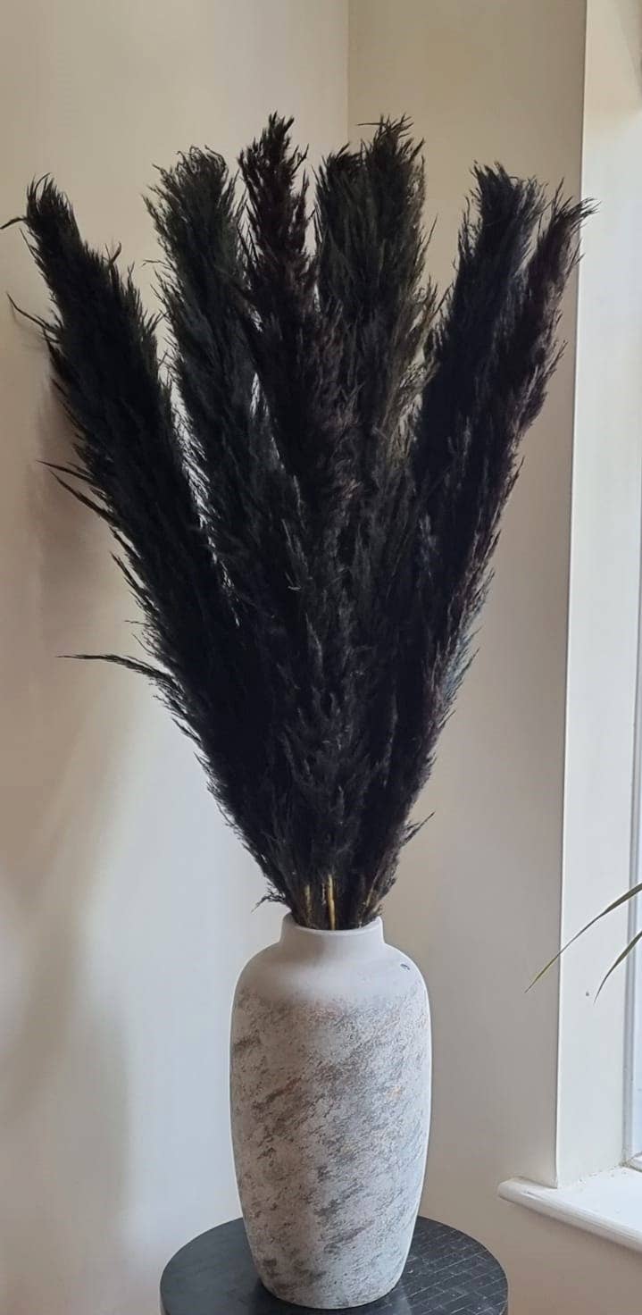 LoveProducts Ltd – wholesale Dried/pressed flowers – Pampas Grass Large black Fluffy Dried pampas arrangement2