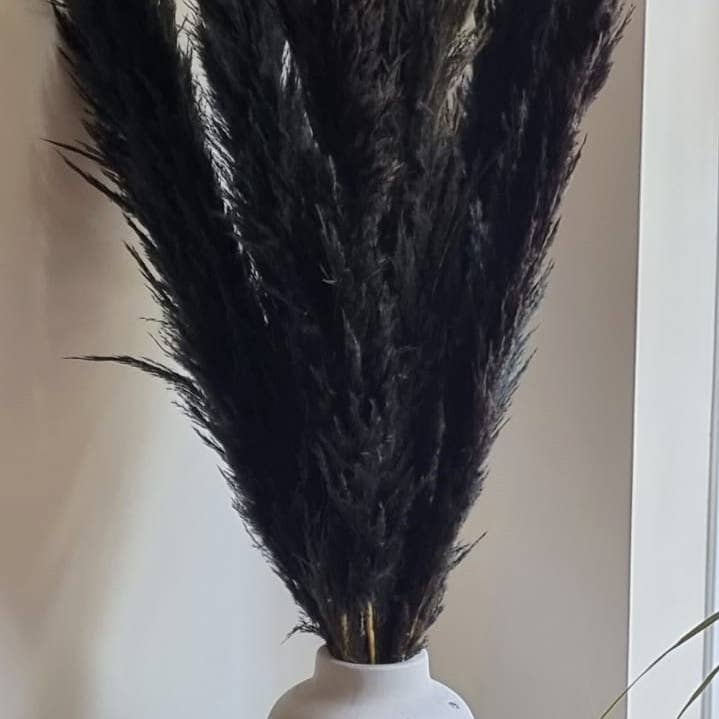 LoveProducts Ltd – wholesale Dried/pressed flowers – Pampas Grass Large black Fluffy Dried pampas arrangement2