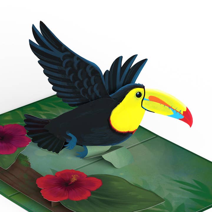 Rainforest Toucan Pop-Up Card 5x7" for wholesale by Lovepop Cards