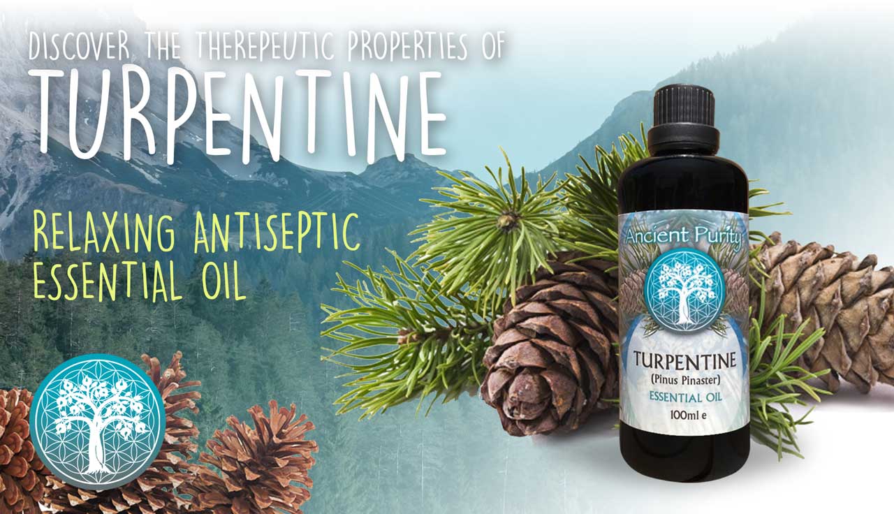 Ancient Purity – wholesale Essential oil – Turpentine Essential Oil - 100ml | Organic from Portugal 2