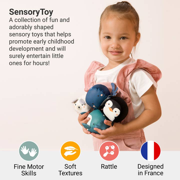 PJM Distributions - Wholesale Sensory Ball - Baby - Little Big Friends|Roly Poly Balls - Ocean Set-4|Sensory Toy