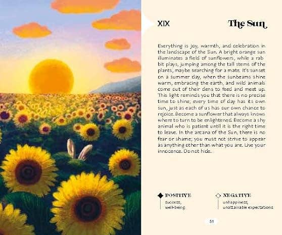 Texas Bookman - Wholesale Tarot Cards - Tarot Landscapes 78 Cards + Manual2