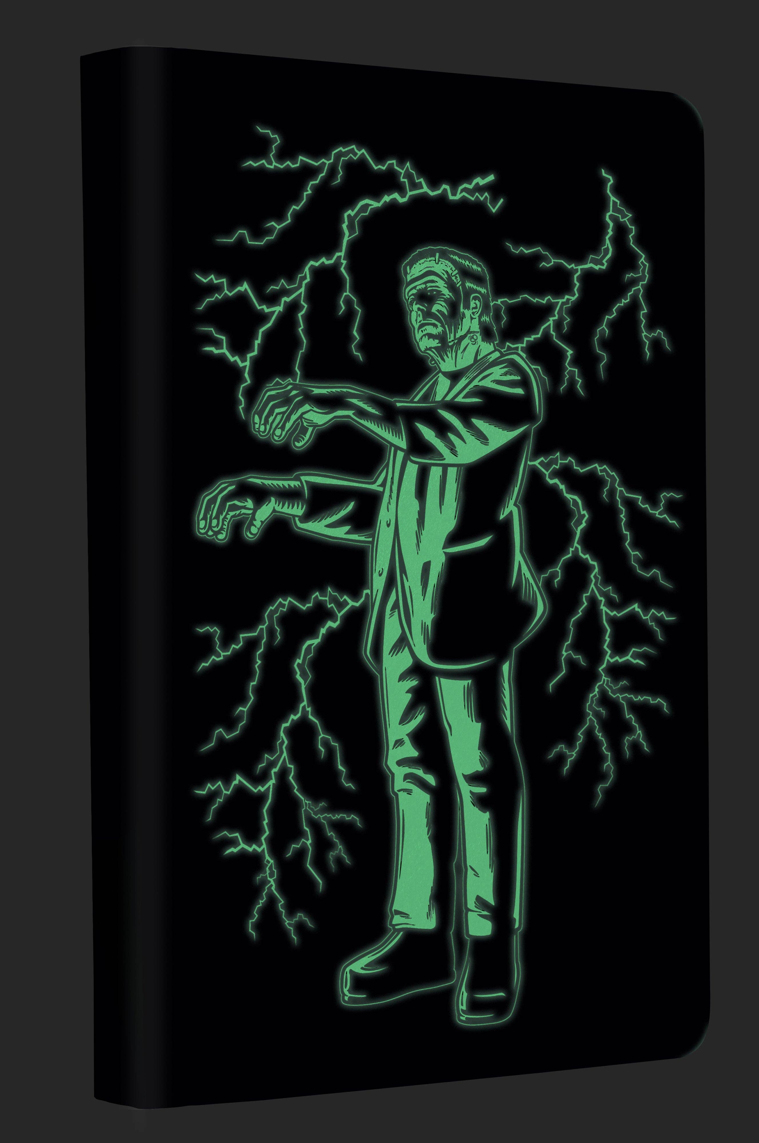 Insight Editions - #1 Pop Culture Publisher - Wholesale Journal/Diary - Universal Monsters: Frankenstein Glow in the Dark Journal1