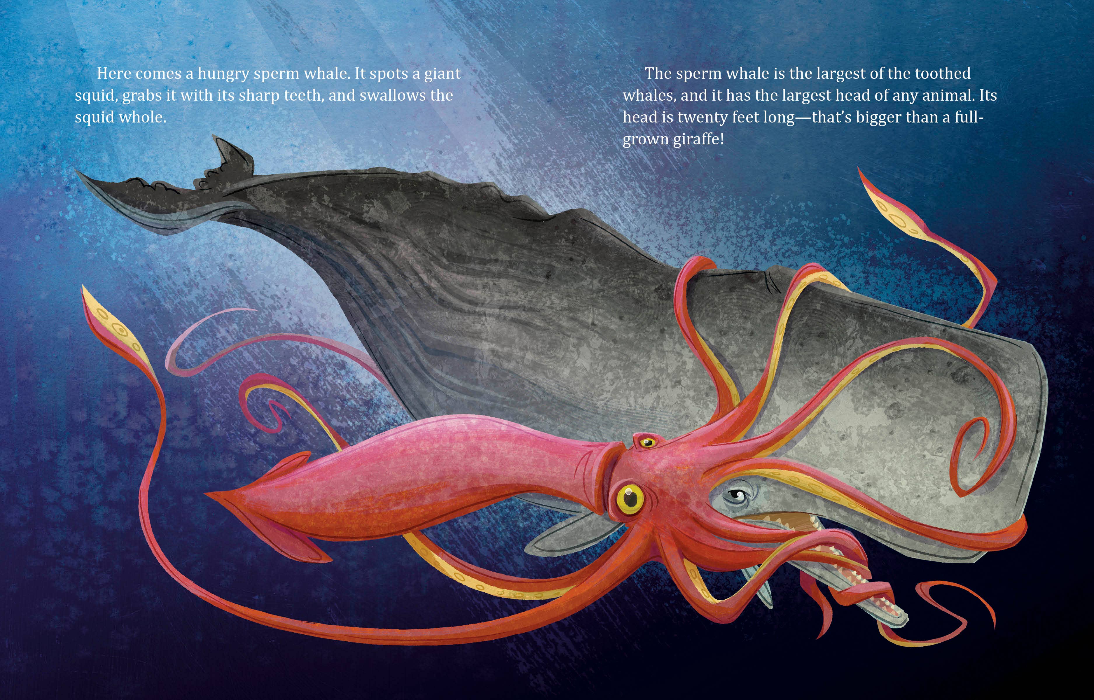 Penguin Random House LLC - Wholesale Preschool Book (3-5) - My Lgb About Whales3