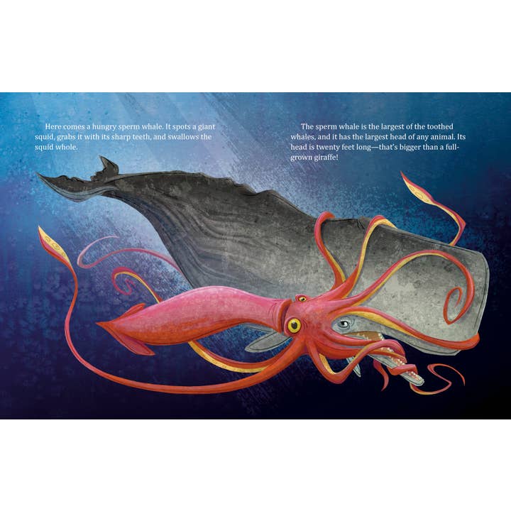 Penguin Random House LLC - Wholesale Preschool Book (3-5) - My Lgb About Whales3