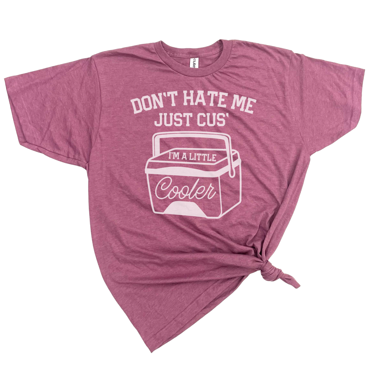 dkhandmade - Wholesale Screen Printed T-Shirt - Men's - DON'T HATE ME JUST CUS' I'M A LITTLE COOLER T-SHIRT2
