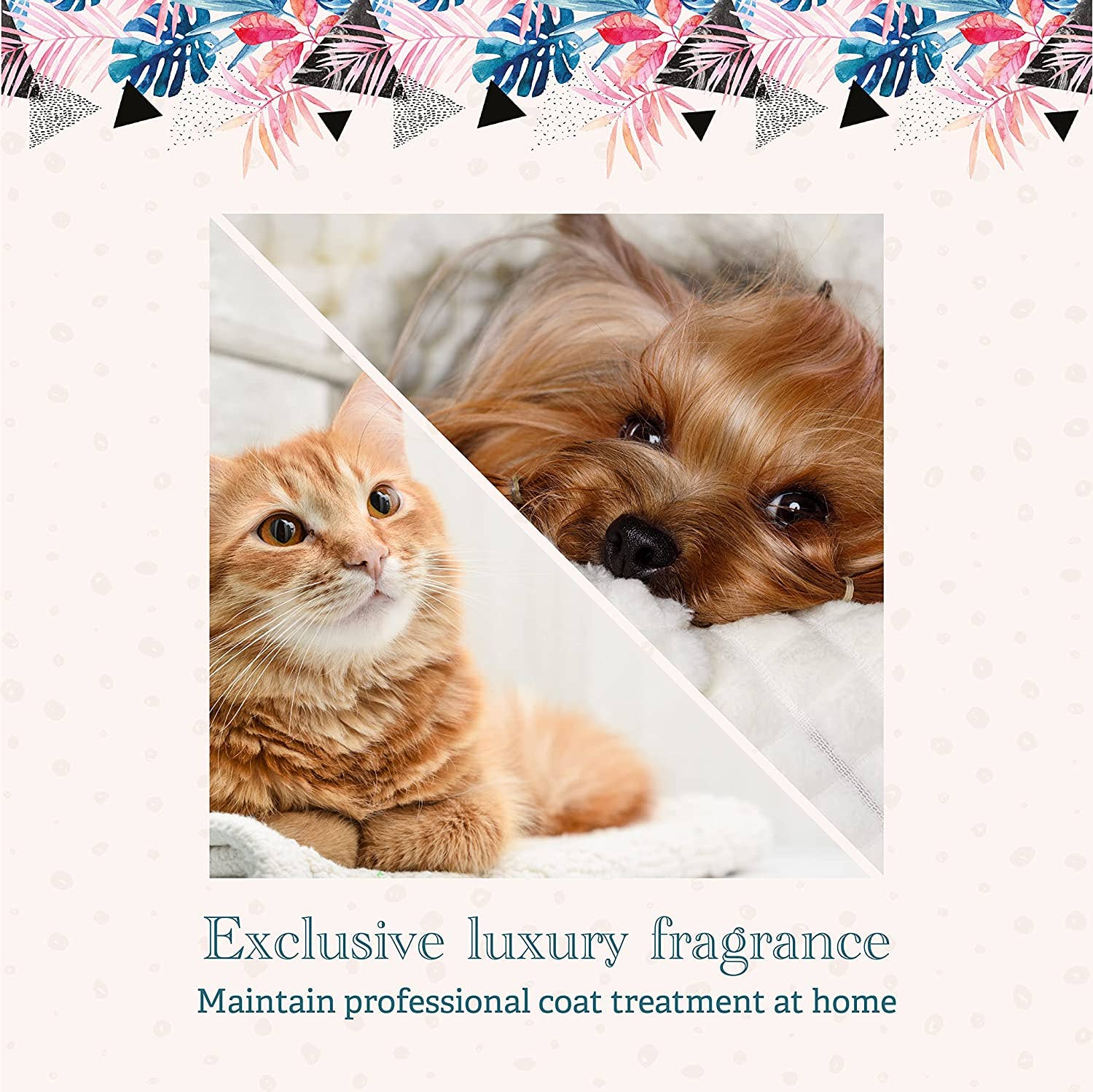 Hydra by Pet Society - Wholesale Pet Deodorizing Spray - Hydra Care Cologne5