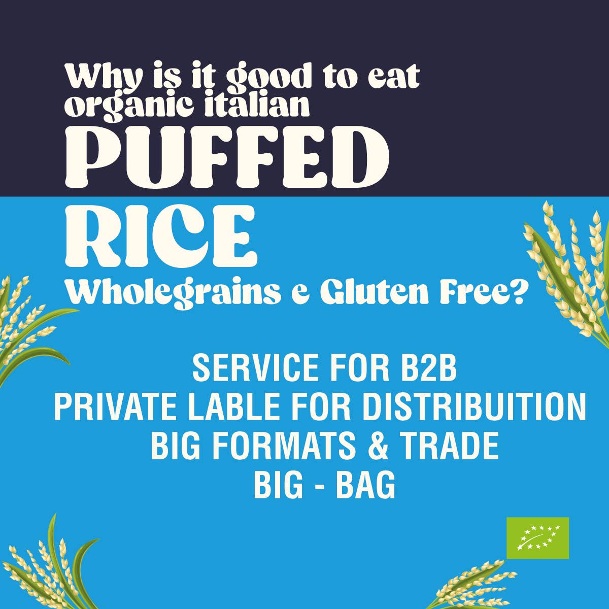 Stella Foods s.r.l. - Wholesale Rice - STELLA Organic Gluten-Free Wholemeal Puffed Rice 100g3