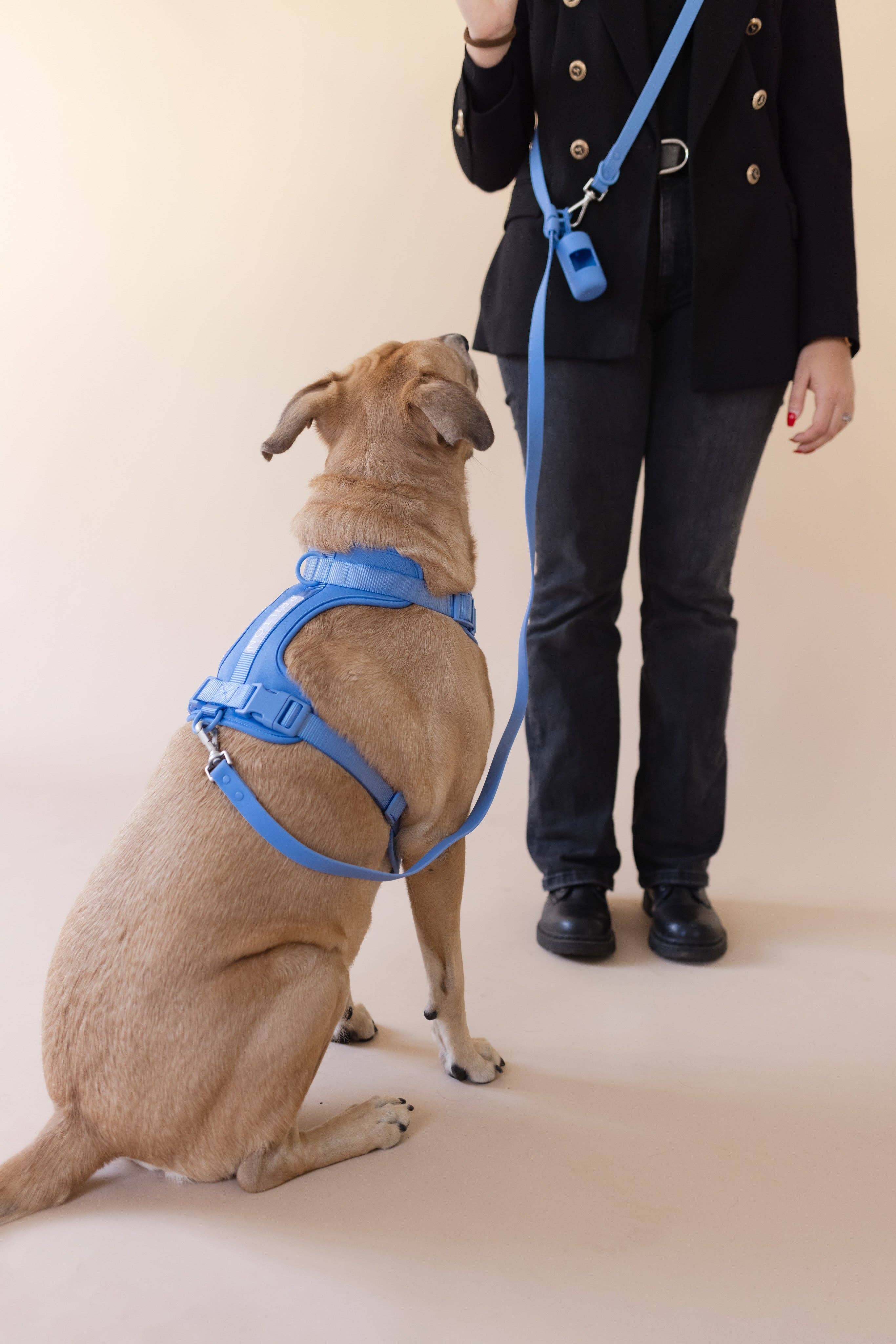 PRILTON - Venta al por mayor Arnés - Perros - Arnés en H azul0