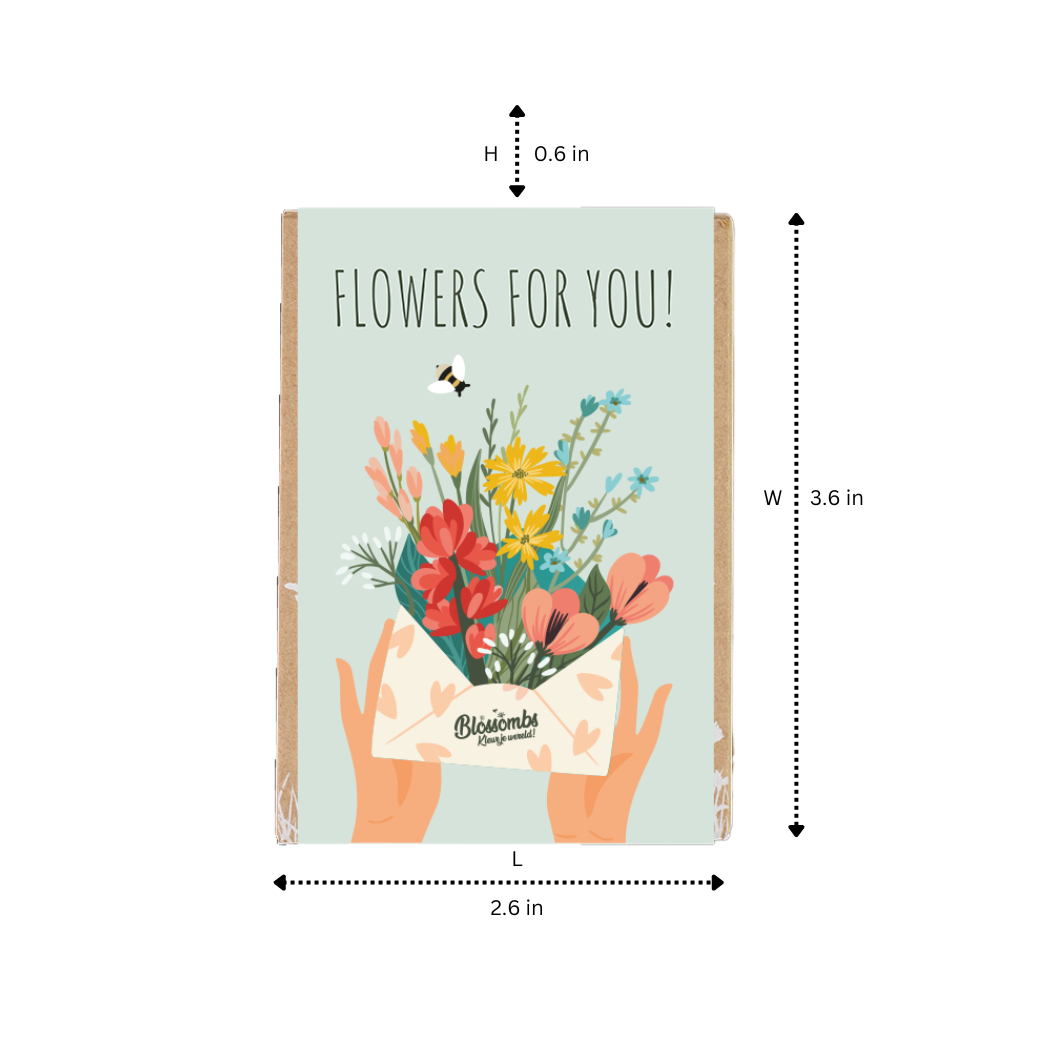 Buzzy Seeds Grow Gifts - Vente Graines de plantes - Mini boîte de graines de fleurs sauvages – Coffret cadeau Fleurs pour vous (4)7