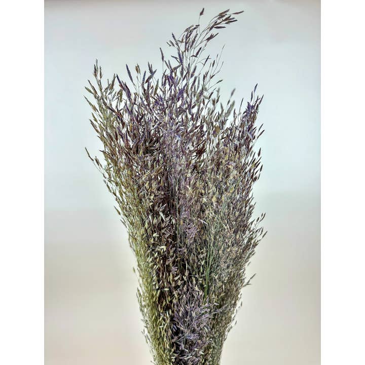 Lovejoy Farms Premium Dried Flowers - Wholesale Dried/Pressed Flowers - Ruby Silk Grass - Naturally Dried 1